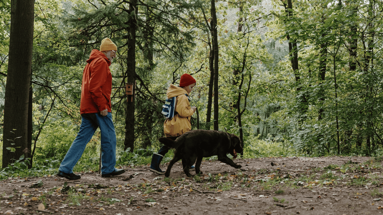 Side Hustles For Men #2 - Pet Walking